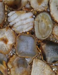 Brown-yellow-agate